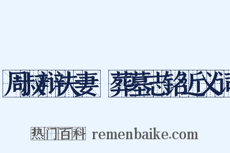 周叔辩夫妻祔葬墓志铭近义词是什么意思的图片